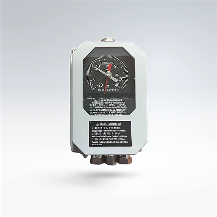 BWR-04/06 Winding Temperature Controller for Transformer